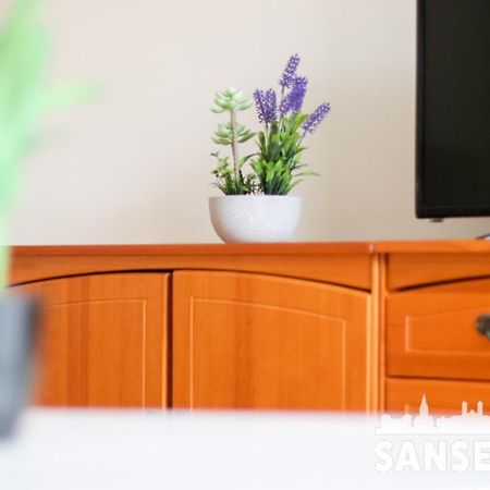 Apartmán Apartamento Colon By Sanse Holidays San Sebastián Exteriér fotografie